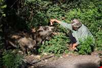 Golestan National Park
