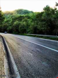 پارک ملی گلستان