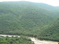 پارک ملی گلستان