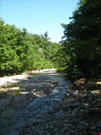 پارک ملی گلستان