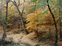 روستای زیارت