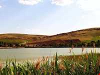 سراب نیلوفر