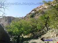 روستای چنشت