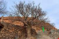 روستای چنشت