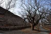 روستای چنشت
