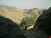 روستای چنشت