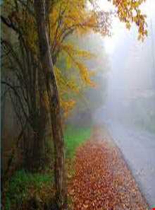 پارک جنگلی النگدره