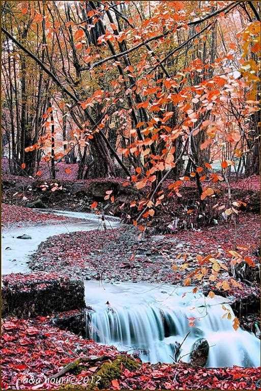 Natural park of Alandareh