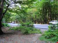 Natural park of Alandareh