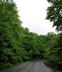 Natural park of Alandareh