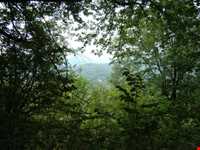 Natural park of Alandareh