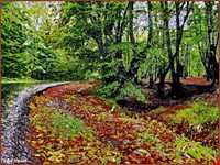 Natural park of Alandareh