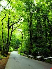 Natural park of Alandareh