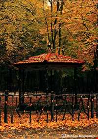 Natural park of Alandareh