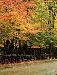 Natural park of Alandareh