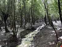 Natural park of Alandareh