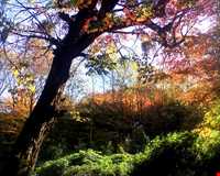 Natural park of Alandareh