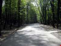 Natural park of Alandareh