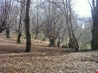 Natural park of Alandareh