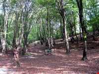 Natural park of Alandareh