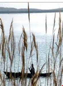 تالاب آجی گل