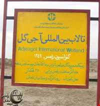 تالاب آجی گل