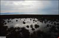 تالاب آجی گل