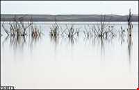 تالاب آجی گل