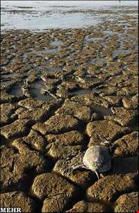 تالاب آجی گل