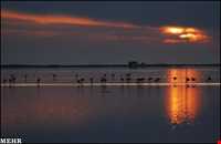 تالاب آجی گل