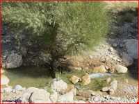 سد تاریخی تجنود