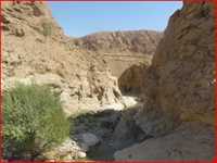 سد تاریخی تجنود