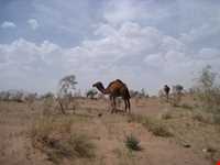 کویر همت آباد