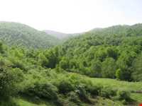 Forbidden hunting area of Chel Cheli