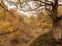 Forbidden hunting area of Chel Cheli