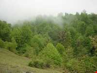 Forbidden hunting area of Chel Cheli