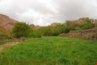 Arke Village