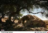 Shapoor city of Belad-e Shapoor