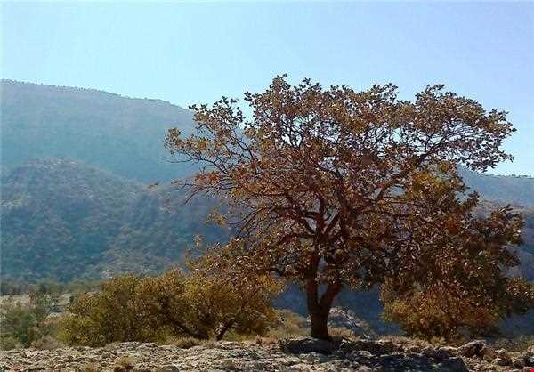 روستای تاریخی آرند