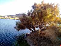 دریاچه برم الوان