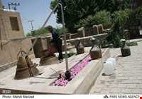 Rose Water Distillation Ceremony ( Golab Giri )