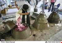 Rose Water Distillation Ceremony ( Golab Giri )