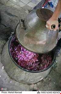 Rose Water Distillation Ceremony ( Golab Giri )