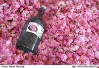 Rose Water Distillation Ceremony ( Golab Giri )