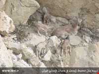 Khaez protected area