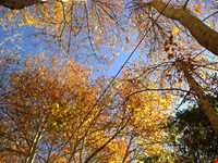 آبشار یاسوج