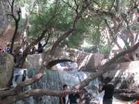 آبشار یاسوج