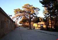 Sheikh Ahmed jam Tomb