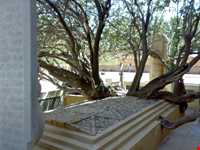 Sheikh Ahmad Jami tomb