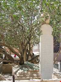 Sheikh Ahmad Jami tomb